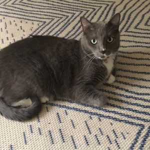 Meet your Posher, Andrew